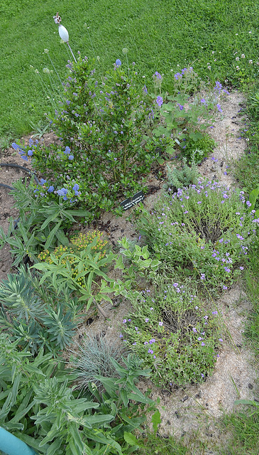 Zone bleue DSC 0062
