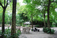 Jardin de Bangkok