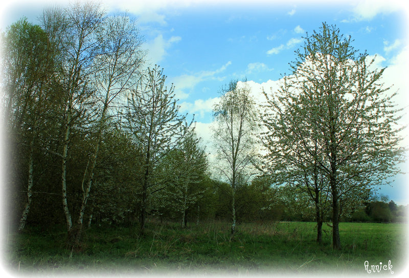 TEINTES D'AVRIL ****