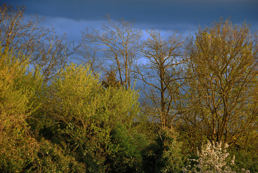 Avant l'orage