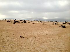 IMG 0712 IMG 0712