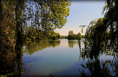 ETANG*** ETANG***