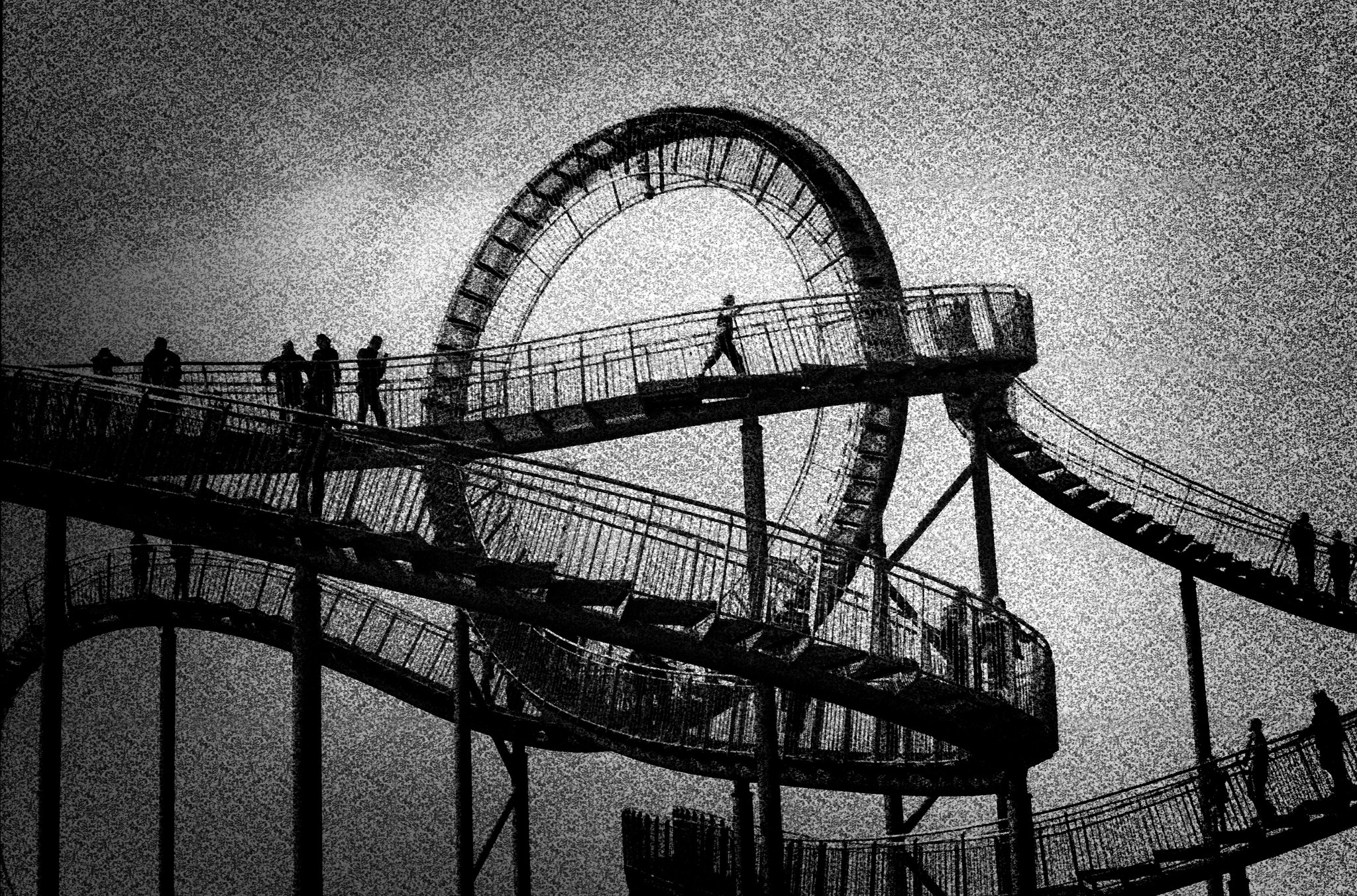 Tiger and Turtle