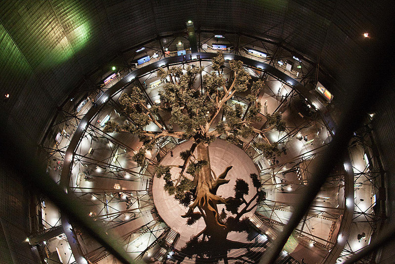 20120407 8406RAw [D~OB] Mammutbaum, Ausstellung: Magische Orte - Natur- und Kulturmonumente der Welt, Gasometer Oberhausen
