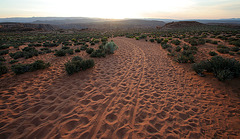 Trail to Horseshoe Bend (3941)