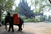 ELEPHANT D'ASIE ***