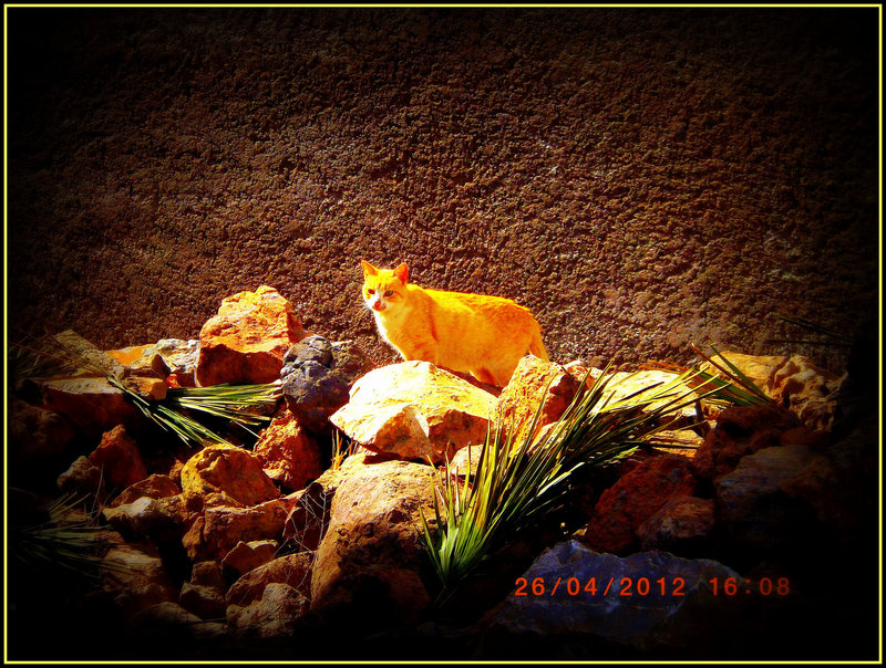 curieux..!