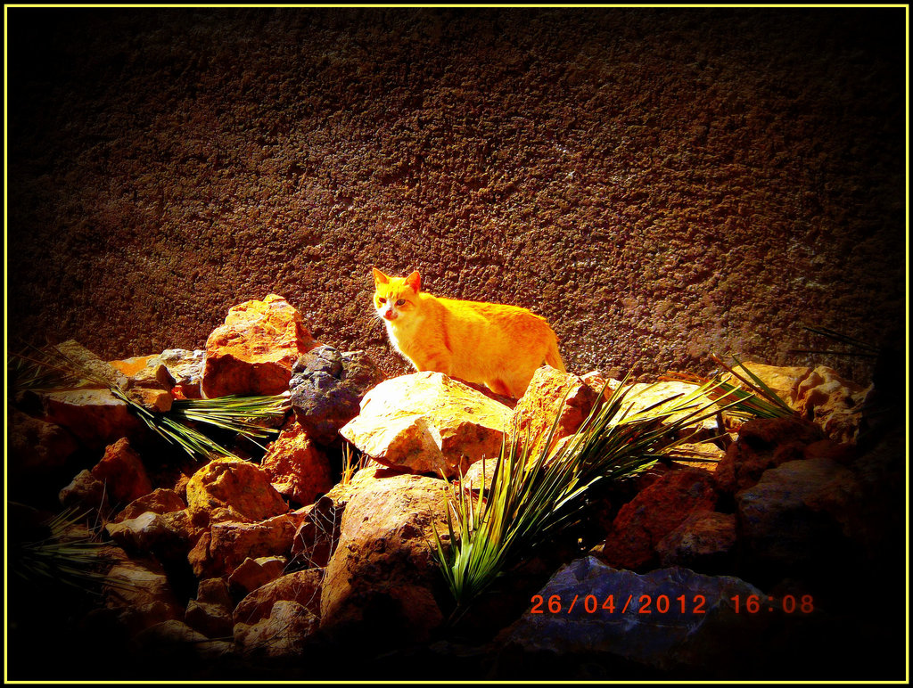 curieux..!