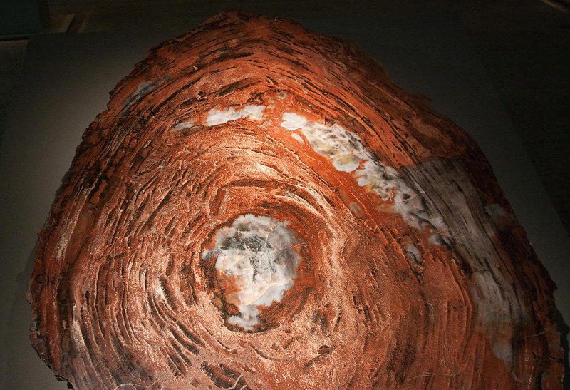 20120407 8377RWw [D~OB] Verkieselter Baumstamm, Ausstellung: Magische Orte - Natur- und Kulturmonumente der Welt, Gasometer Oberhausen