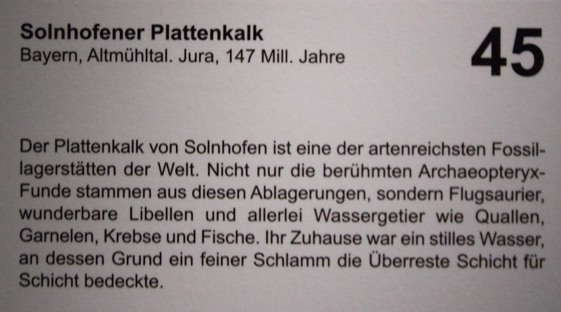 20120407 8360RWw [D~OB] Solnhofener Plattenkalk, Ausstellung: Magische Orte - Natur- und Kulturmonumente der Welt, Gasometer Oberhausen