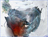 Dans la glace ...le feu