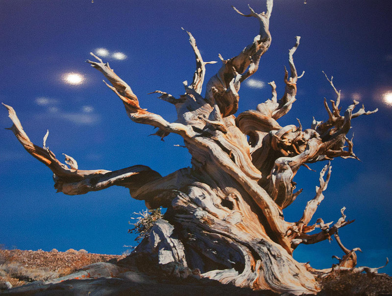 20120407 8343RRWw [D~OB] Ausstellung: Magische Orte - Natur- und Kulturmonumente der Welt, Gasometer Oberhausen