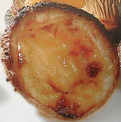 PASTEL DE NATA