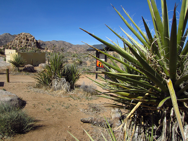 Boy Scout Trail (0723)