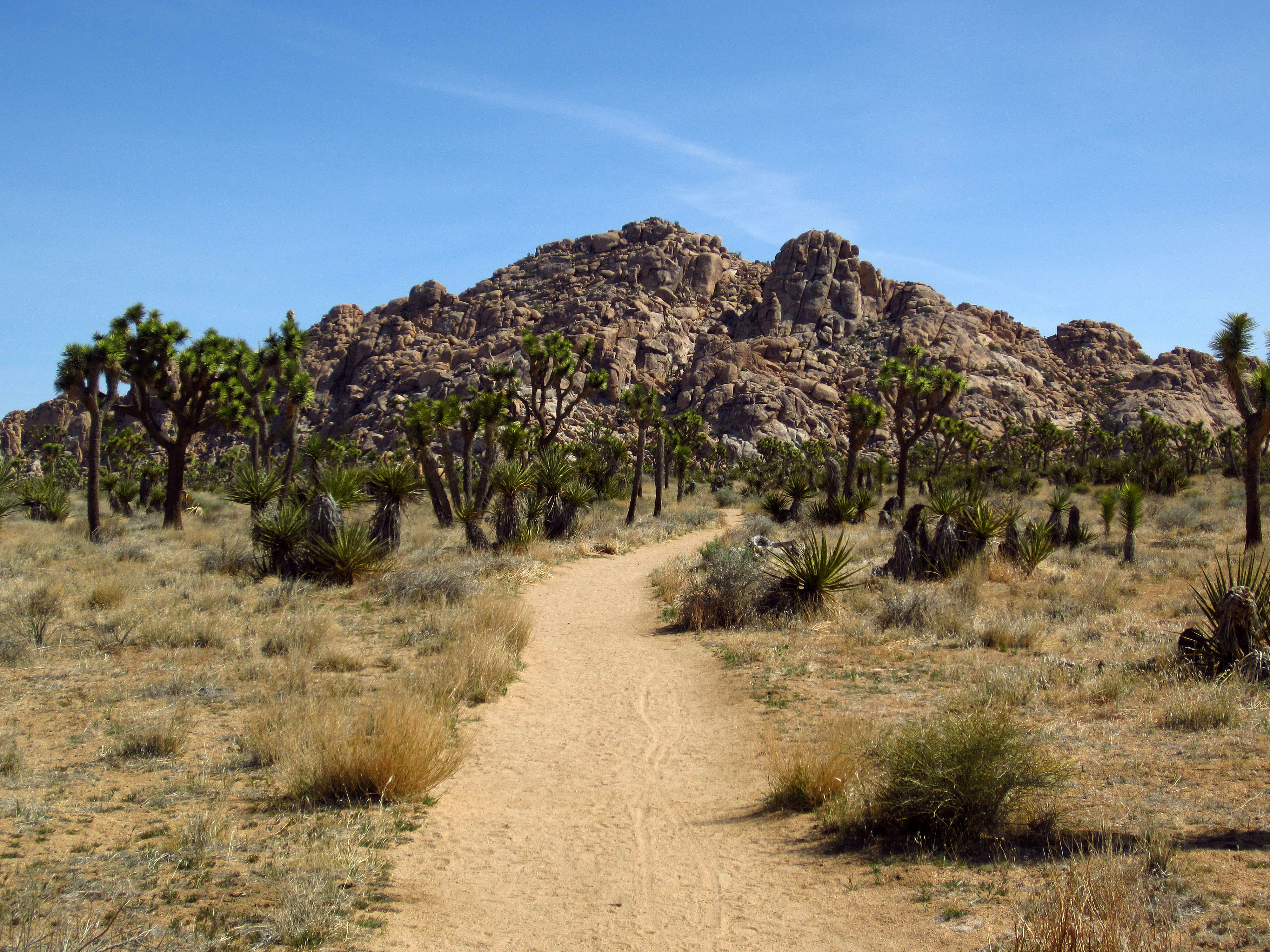 Boy Scout Trail (0738)