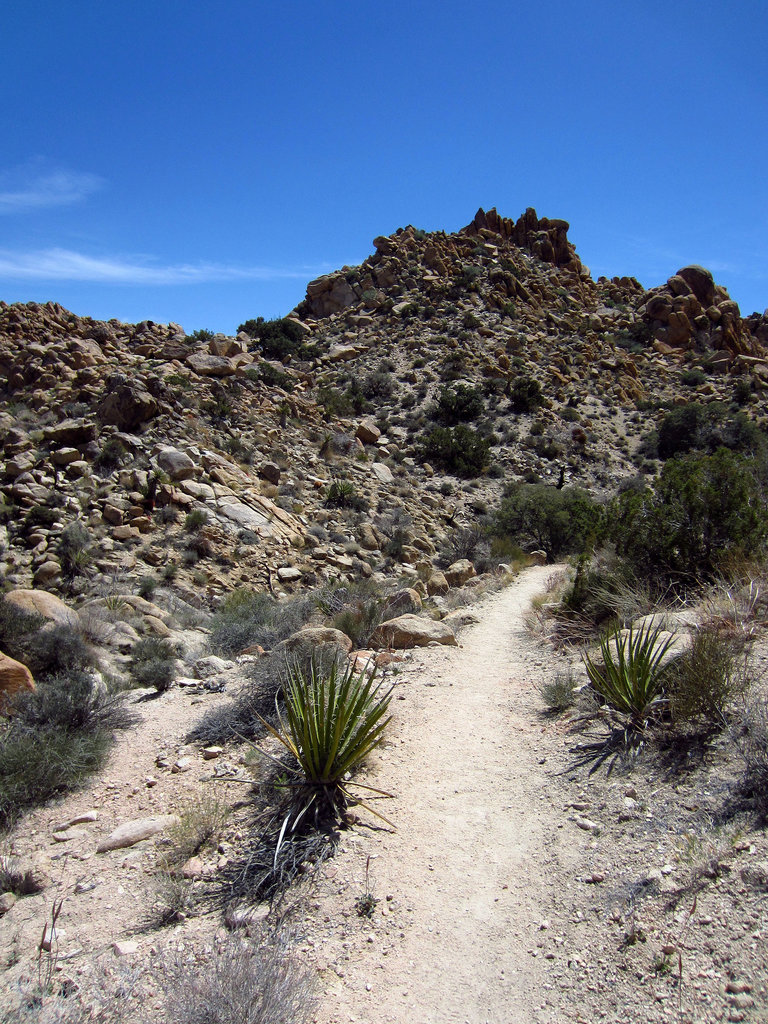 Boy Scout Trail (0761)