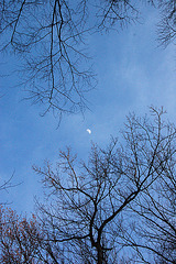 Luno en blua nuba ĉielo