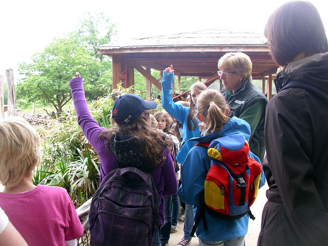 042 Zoo OS Tiere in der Bibel