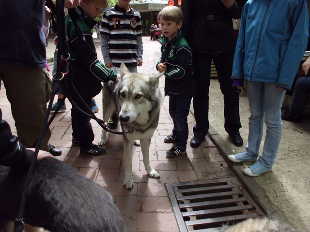 109 Zoo OS Tiere in der Bibel