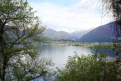 Blick auf Brissago