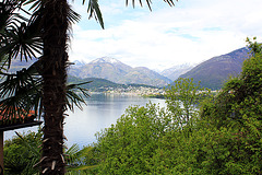 Blick von der Insel auf Brissago