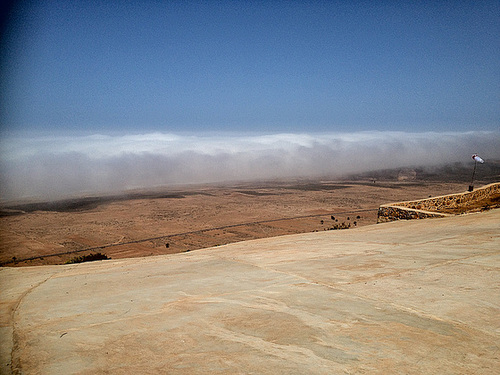 IMG 0593