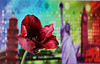 TULIPE URBAINE ***