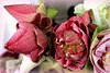 PINK ****