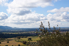 20120506 8880RAw [E] Herguijuela