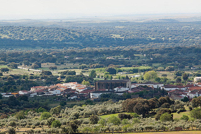 20120506 8883RAw [E] Herguijuela