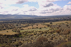 20120506 8878RAw [E] Herguijuela