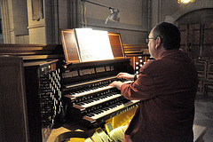 Organ-player