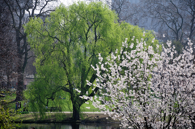 St. James's Park - London - 120324