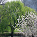 St. James's Park - London - 120324