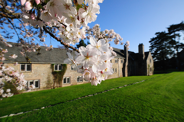Dartington Hall - 120327