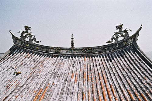 Dragons on my rooftop