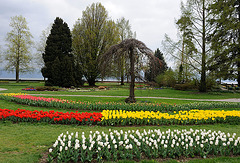 Fête de la tulipe...