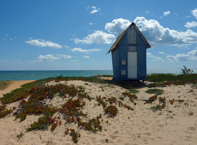 Beach hut