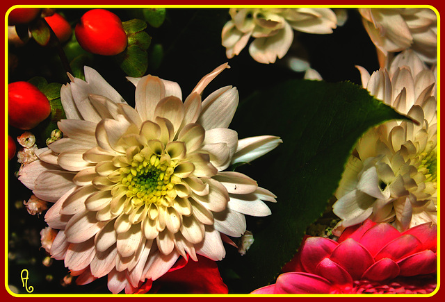des fleurs **** des fleurs ****