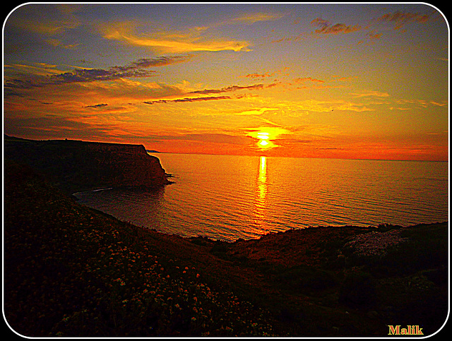 Coucher sur marguerites..!