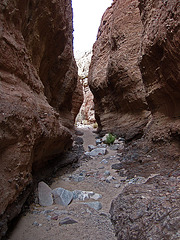 Narrow Canyon (2081)