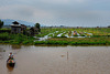 Tomato fields