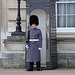 Buckingham Palace - London - 120324