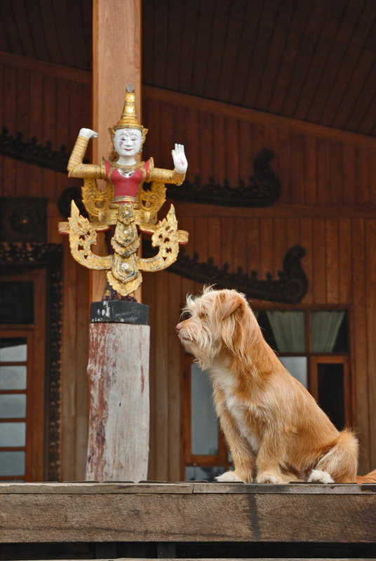 Shwe Inn Tha resort receptionst