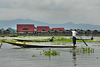 Floating gardens