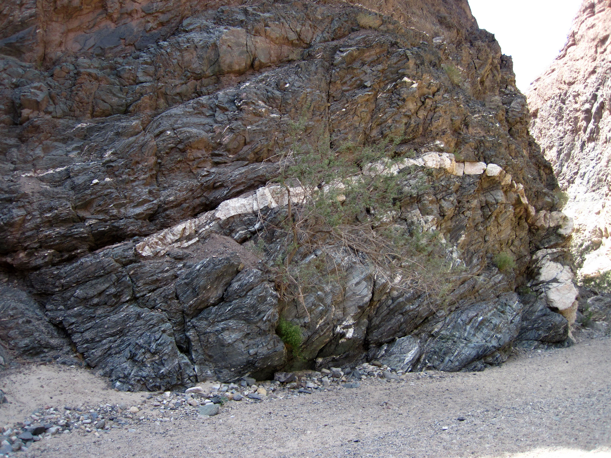 Painted Canyon (2099)