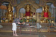 My oblation to Lord Buddha