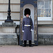 Buckingham Palace - London - 120324