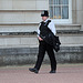 Buckingham Palace - London - 120324