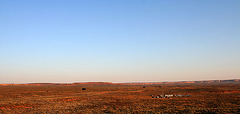 Vista Near Horseshoe Bend (3939)